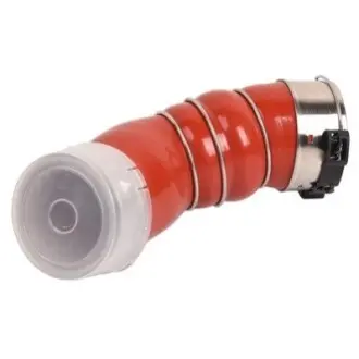 Патрубки Bapmic BF0427310010 Купити в Україні