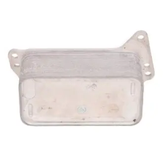 Масляний радіатор Bapmic TOPT1208010 Купити в Україні