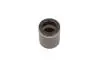Поршень гальмівного супорта задн/передн DODGE DAKOTA FORD USA F-150 3.7-5.4 10.03 BBP (7931BBP) зображення 2