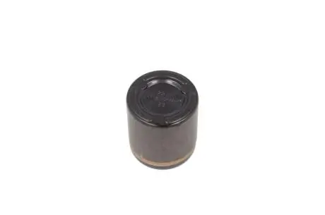 Поршень гальмівного супорта задн/передн DODGE DAKOTA FORD USA F-150 3.7-5.4 10.03 BBP 7931BBP