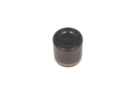 Поршень гальмівного супорта задн FORD USA F-150 4.2-6.2 10.07 BBP 7959BBP