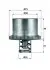 Термостат BEHR (THD289) зображення 1