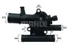 Термостат BEHR (TI21489) зображення 1