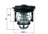 Термостат BEHR (TI24650) изображение 1