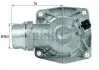 Термостат BEHR (TM16105) зображення 1