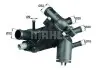 Термостат BEHR (TM5109) зображення 1