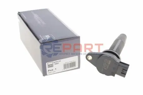 Катушка зажигания двигателя BERU ZSE021