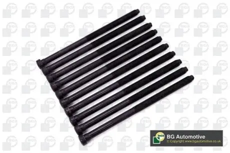 Болты головки блока Audi A3/Octavia/Rapid/Golf 1.6TDI 12- BGA BK0101 Купить в Украине