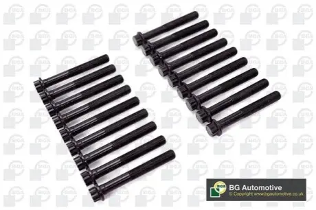 Фото Набір болтів ГБЦ BGA (BK0170) зображення 1