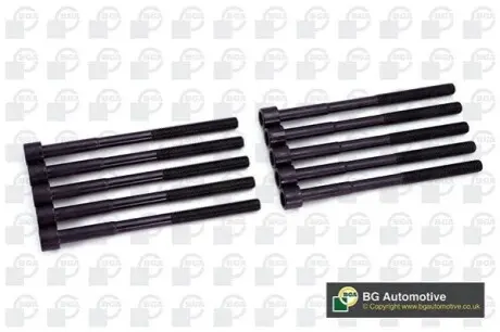 Болти головки (к-кт 10шт.) Toyota Rav4 08 BGA BK2307 Купити в Україні