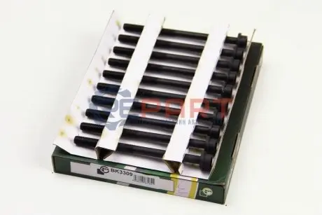 Фото Набор болтов головки цилидров BGA (BK3309) изображение 1