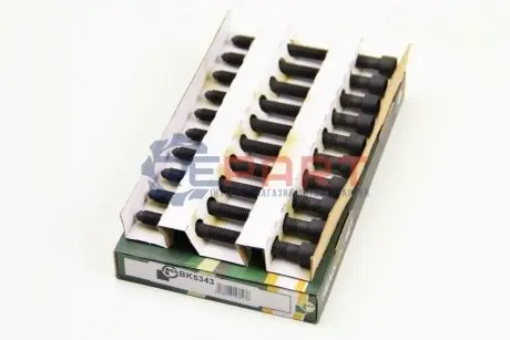 Фото Болти головки блоку A3/A4/A6/Octavia/Golf/Passat/Polo 1.8 96-06 BGA (BK5343) зображення 1