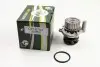 Фото Помпа води Audi A3-A6/VW Caddy/Golf IV/Passat/T5/Skoda Octavia 1.8T/2.0 03- (з прокладкою) BGA (CP18754) зображення 1