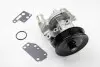 Помпа води Ford Transit VII/VIII 2.4DI/TDCi/TDE 00-14 (R/B) (8 лоп.) (7 кан.) (с корпусом) CP7098T