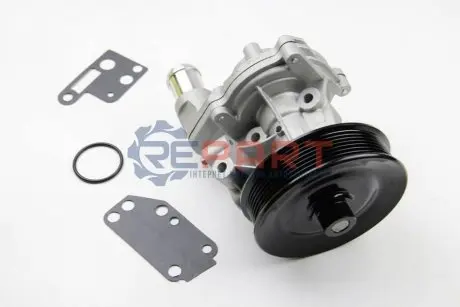 Фото Помпа води Ford Transit VII/VIII 2.4DI/TDCi/TDE 00-14 (R/B) (8 лоп.) (7 кан.) (с корпусом) BGA (CP7098T) зображення 1