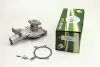 Помпа води Ford Mondeo I/II 1.6i/1.8i/2.0i 16V 93-00 (R/B) (7 лоп.) CP8170
