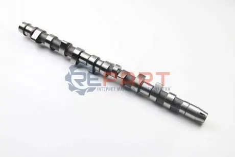 Фото Распредвал BGA (CS3381) зображення 1