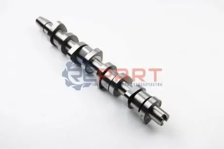 Фото 1 — Розподільний вал VW Caddy 1.9TDI 04- (BSU,BLS) / 2.0TDI (BMM) BGA (CS9503) Фото Розподільний вал VW Caddy 1.9TDI 04- (BSU,BLS) / 2.0TDI (BMM) BGA (CS9503) зображення 1