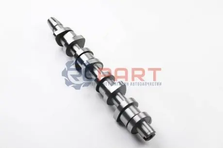 Розподільний вал VW Caddy III 1.9TDI (BJB,BLS) 77kw 04-/VW T5 1.9TDI (AXC,AXB) 63/77kw, 03- BGA CS9901 Купити в Україні