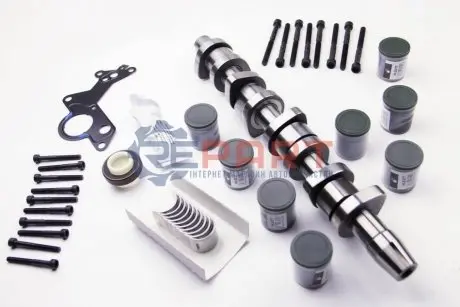 Фото Розподільний вал (комплект) Audi/VW/Skoda 1.9TDI (AXC/AXB/) 03-09 BGA (CS9901SFK) зображення 1