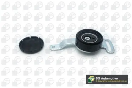 Ролик модуля натягувача ременя BGA DC8200 Купити в Україні