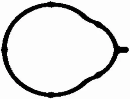 Фото Прокладка колектора впускного BMW 3 (E36/E46) 1.6/2.0 98-06 BGA (MG2581) зображення 1