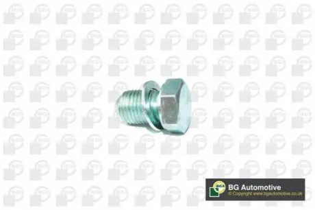 Болт зливу оливи VW Caddy III/T5/Crafter BGA PK0101 Купити в Україні