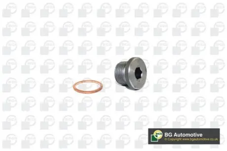 Болт зливу оливи BMW 5 (E60)/7 (E65)/X5 (E53/F15) (M18x1,5) BGA PK0904 Купити в Україні