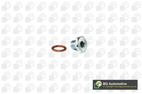 Болт зливу оливи Citroen Berlingo/Jumper/Jumpy/Peugeot Boxer/Expert/Partner 96- (M14x1.25) BGA PK1402 Купити в Україні