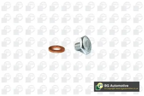 Болт зливу оливи Citroen Berlingo/Peugeot Partner 1.6HDI/1.9D/2.0HDI 98- (M10x1,25) BGA PK1404 Купити в Україні