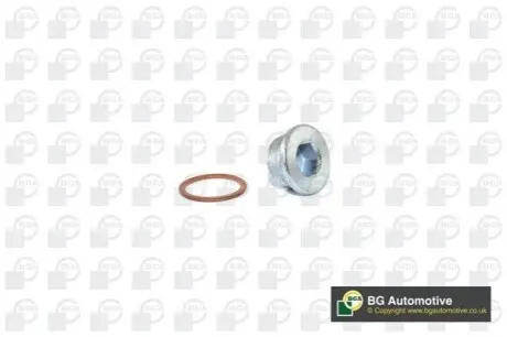 Болт зливу оливи Fiat Ducato 94- (M22x1,5) BGA PK1405 Купити в Україні