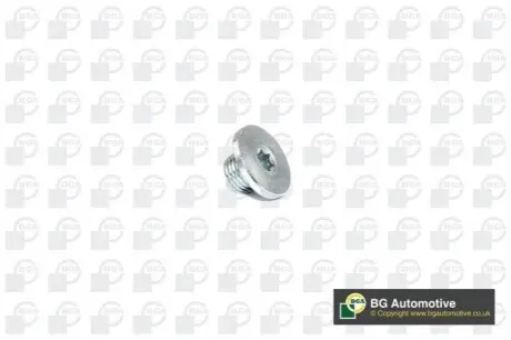 Болт зливу оливи Opel Combo/Astra/Vectra 93- (M14x1.5/ L=10) BGA PK2200 Купити в Україні