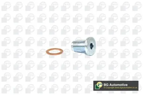 Пробка піддона картера зливна Fiat Doblo 1.9JTD Multijet 01- BGA PK2201 Купити в Україні