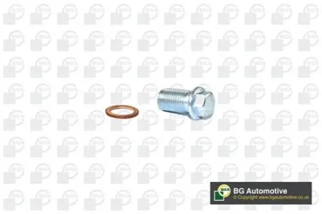 Болт зливу оливи MB OM601-602/Sprinter OM601-602 BGA PK5600 Купити в Україні