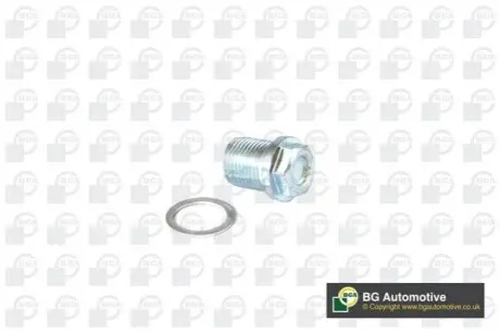 Болт зливу оливи + шайба Volvo 850/960/C30/C70/S40/S60/S80/S90/V40/V60/V70/V90 -12 (M18x1.5) BGA PK9700 Купити в Україні