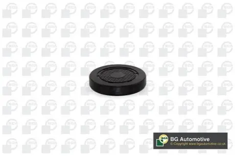 Фото Заглушка ГБЦ BGA (PL4601) зображення 1