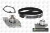 Роликовый модуль натяжителя ремня (ролик, ремень, насос) BGA (TB6300CPK) изображение 1