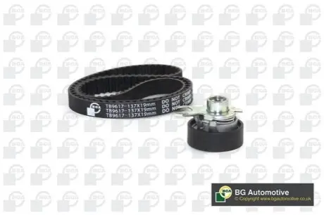 Комплект ГРМ VW Caddy II 1.6i 95-00 BGA TB9617K Купити в Україні