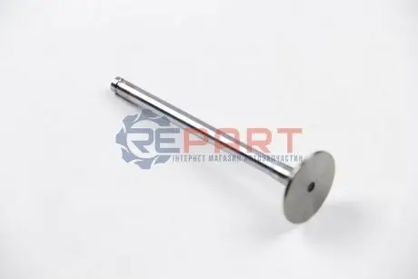 Клапан (впуск) Opel Astra F/G/Vectra A 1.6D/1.7D 82-00 (36x8x123.2) (вальцювання) BGA V029182 Купити в Україні