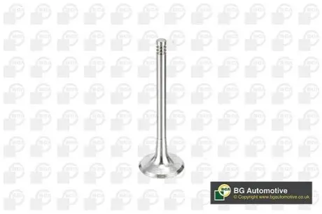 Клапан (впуск) Audi A3/A4/VW Golf/Jetta/Passat 2.0TDI (29.2x6x87.8) (азотований) BGA V163720 Купити в Україні