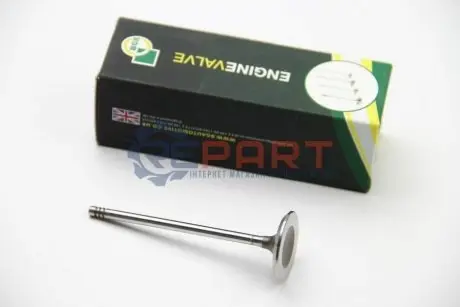 Всмоктуючий клапан BGA V165020 Купити в Україні