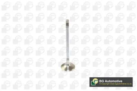 Всмоктуючий клапан BGA V166200 Купити в Україні