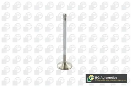 Клапан двигуна BGA V560011 Купити в Україні