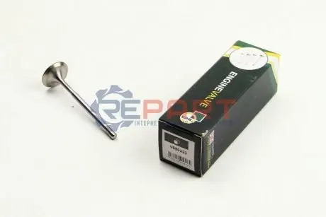 Клапан (впуск) VW Caddy II/III/Golf 1.4/1.6FSI/TSI 00- (29.5x6x100,9) (азотований) BGA V990323 Купити в Україні