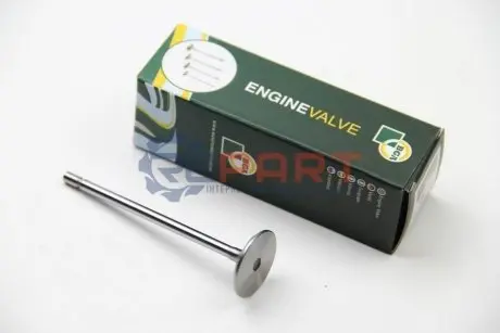 Клапан (впуск) Renault Kangoo 1.6 16V 01- (32.4x5.5x109.2) BGA V991723 Купити в Україні