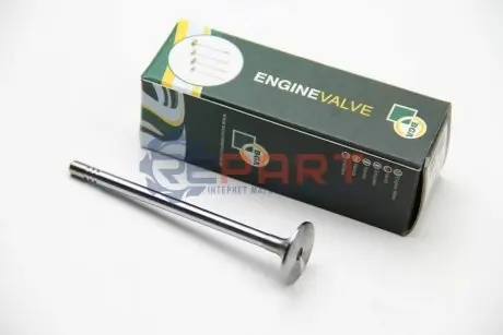 Клапан (впуск) Ford Transit 2.0TDCi 16V/2.2 TDCi 00- (29.8x7x122.2) (азотований) BGA V991797 Купити в Україні