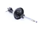 Амортизатор подвески BILSTEIN (22045881) изображение 5