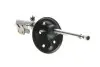 Фото Амортизатор передн Прав TOYOTA RAV 4 II 1.8-2.4 05.00-11.05 BILSTEIN (22151100) зображення 10