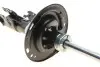 Амортизатор подвески BILSTEIN (22165978) изображение 8