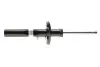 Амортизатор подвески BILSTEIN (22183712) изображение 1